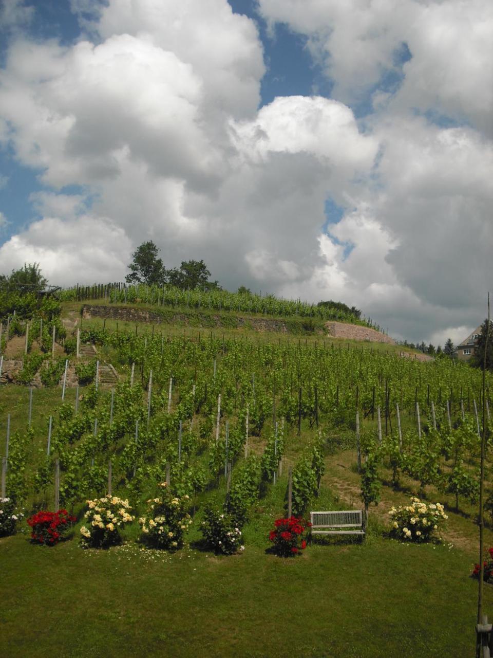 MeißenWeingut Mariaberg公寓 外观 照片