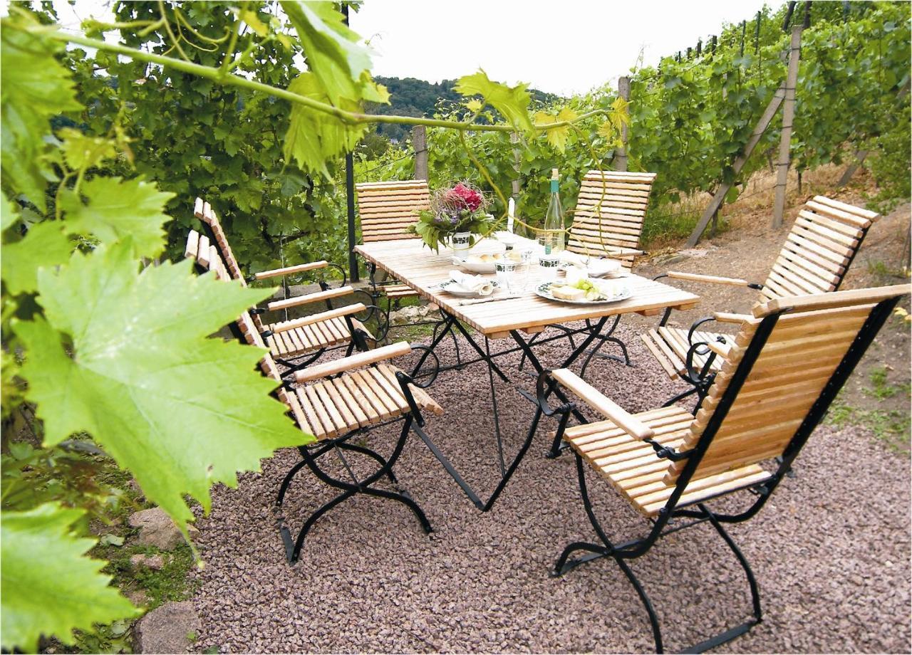 MeißenWeingut Mariaberg公寓 外观 照片